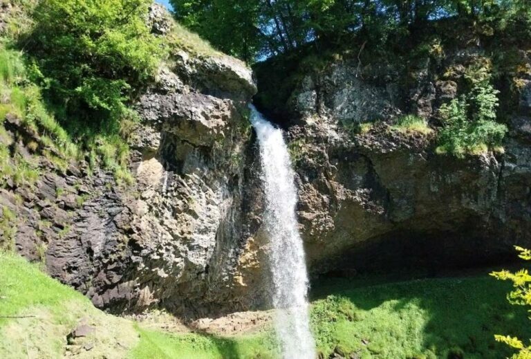 Biodiversité - la cascade de Salins