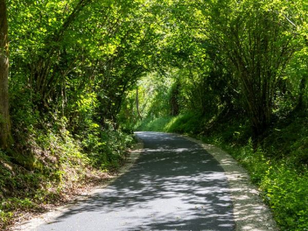 Voie verte Mauriac Vendes
